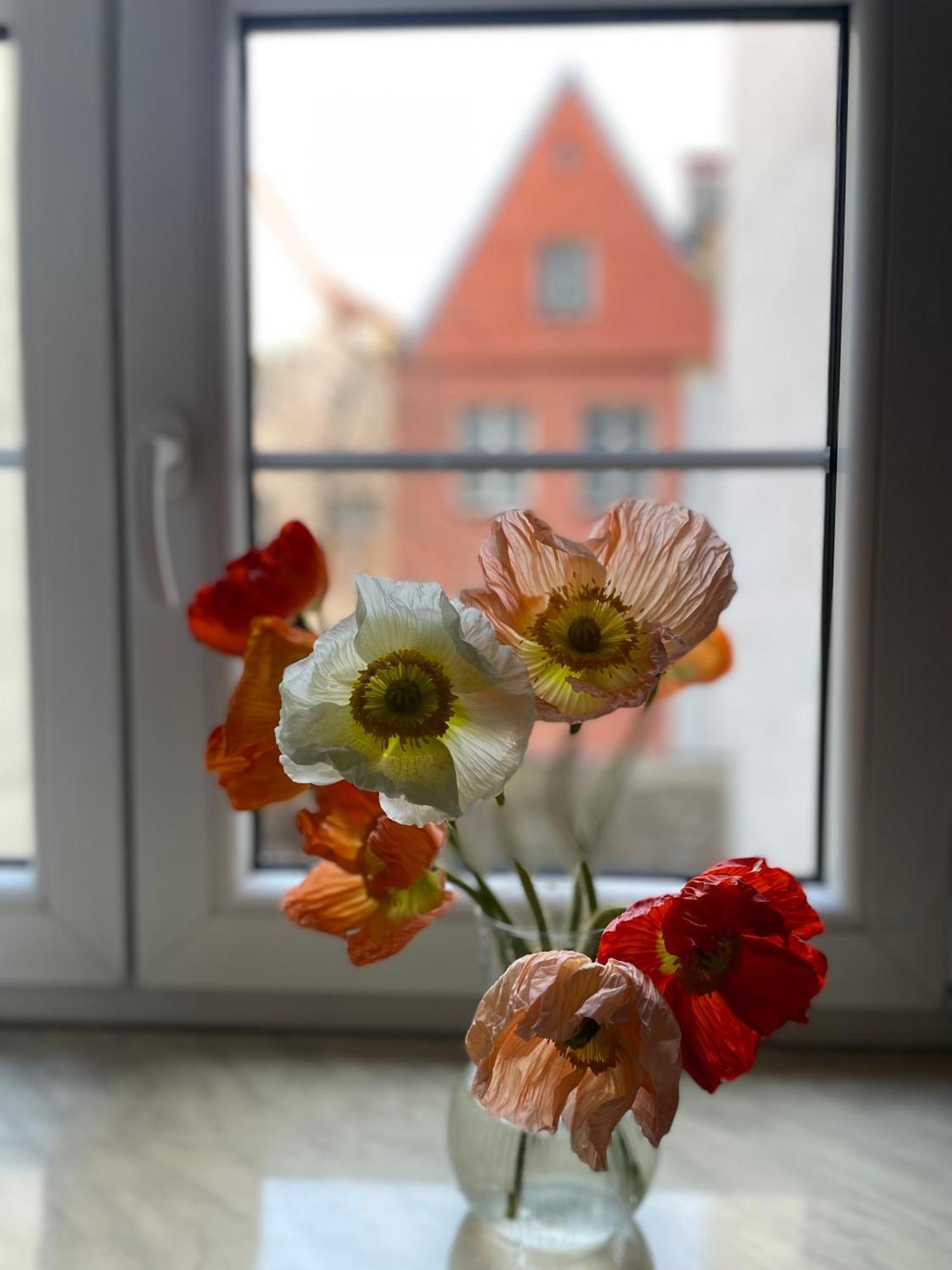 Kolysanka Private In Old Town Privatunterkunft Posen